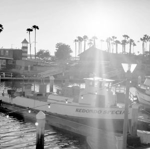 Meet your Posher, Vladimir